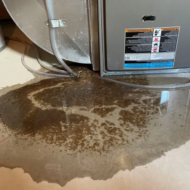 Pipe Burst and Leak Restoration in Stokesdale, NC